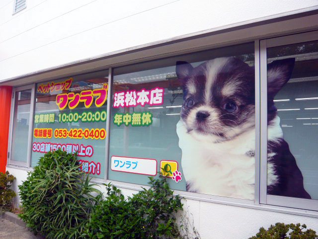 ワンラブ 浜松本店の写真