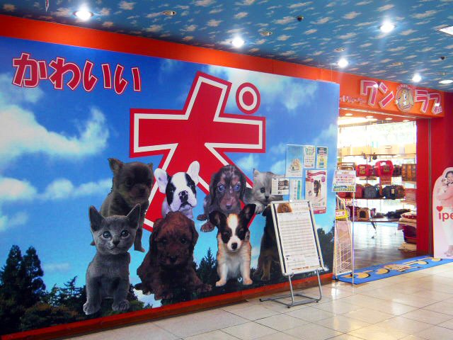 ワンラブ MEGAドン・キホーテ浜松店の写真