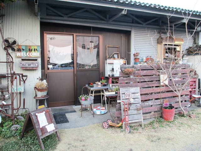 shop-ohanaの写真