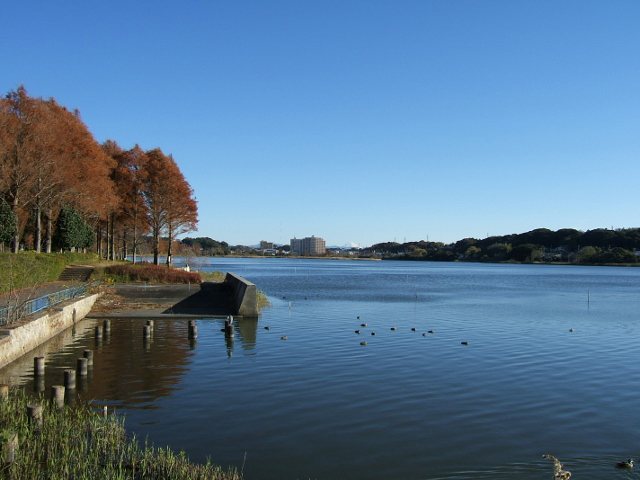 佐鳴湖公園の写真