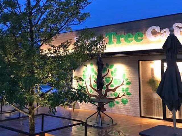 Organic Vege ＆ Meat Vege Tree Cafeの写真