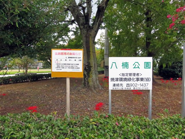 八楠公園の写真