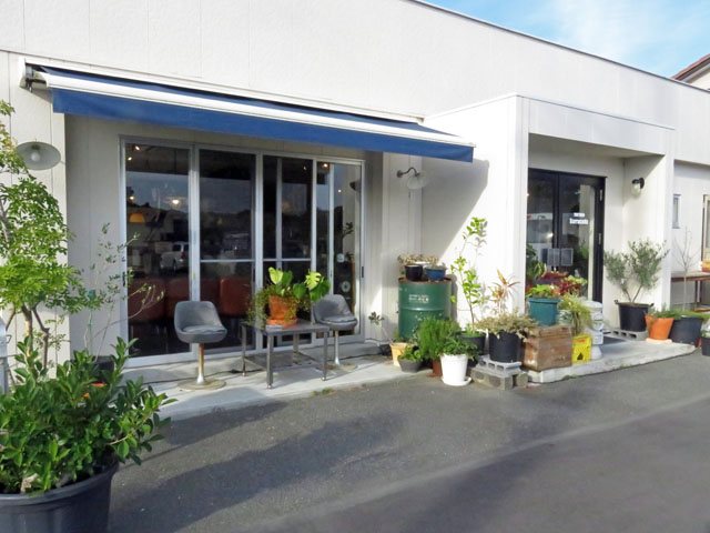 TRATTORIA Barracuda (トラットリア バラクーダ)の写真